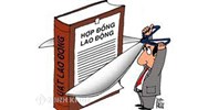Phân biệt hợp đồng lao động và hợp đồng làm việc?