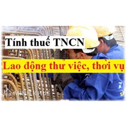 Hợp đồng thử việc có nộp thuế thu nhập các nhân không ? Mức thuế phải nộp