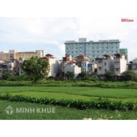 Có thể điều chỉnh quy hoạch, kế hoạch sử dụng đất hay không?