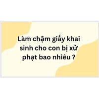Làm chậm giấy khai sinh cho con bị xử phạt bao nhiêu ?