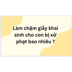 Làm chậm giấy khai sinh cho con bị xử phạt bao nhiêu ?