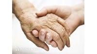Những ai có thể làm chứng cho việc lập di chúc để hợp pháp?