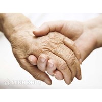 Những ai có thể làm chứng cho việc lập di chúc để hợp pháp?