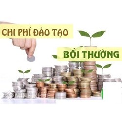 Xin nghỉ việc có phải đền bù chi phí đào tạo không ?