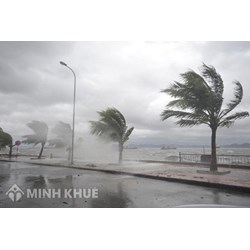 hành vi vi phạm hợp đồng do sự kiện bất khả kháng có được miễn trách nhiệm không? Quy định pháp luật như thế nào?