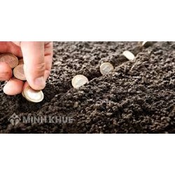Mức xử phạt khi nộp chậm tiền sử dụng đất theo quy định mới nhất?