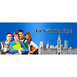 Hướng dẫn xin cấp giấy phép Tư vấn du học mới nhất