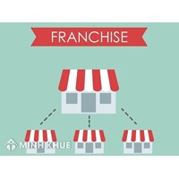 Consulting services related to franchising