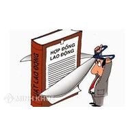 Viên chức bị khởi tố về hành vi đánh bạc có bị buộc thôi việc ? Mức phạt tiền tội đánh bạc