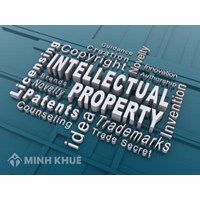 Legal consultancy on intellectual property law in Vietnam