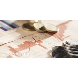 Các loại báo cáo doanh nghiệp có vốn đầu tư nước ngoài phải nộp khi thực hiện kinh doanh