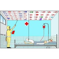 Mẫu đơn xin bãi nại tai nạn giao thông và cách viết mới nhất