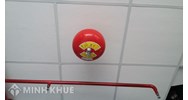 Kinh doanh quán karaoke có phải lắp hệ thống phòng cháy tự động không?