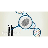 Thủ tục nhận cha con, mẹ con cần những giấy tờ gì để xác nhận?