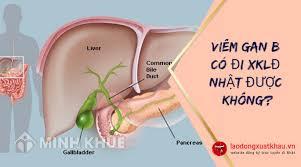 Tại sao các trường Nhật ngữ không yêu cầu du học sinh kiểm tra viêm gan B?
