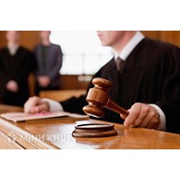 Lawyer services represent on litigation in court related to business and commercial cases