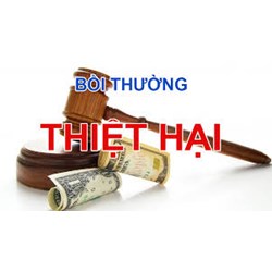 Con chưa đủ 18 tuổi gây thiệt hại thì bố mẹ có phải bồi thường ?