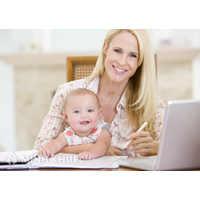Consultancy establishment of household business