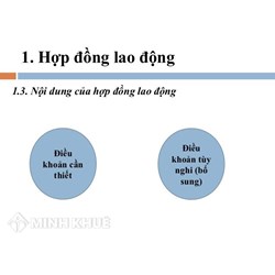 Hợp đồng lao động có bắt buộc phải có quyền và nghĩa vụ của các bên không ?