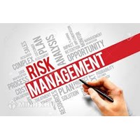 Risk management consultancy for enterprises