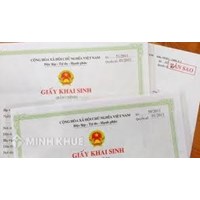 Hướng dẫn thủ tục đăng ký giấy khai sinh cho con khi bị mất ?