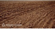 Cắt hộ khẩu rồi thì bố mẹ đẻ có tặng cho đất nông nghiệp được không?