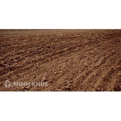 Cắt hộ khẩu rồi thì bố mẹ đẻ có tặng cho đất nông nghiệp được không?