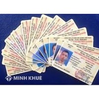 Không có giấy phép lái xe bị xử phạt như thế nào? Hồ sơ cấp lại giấy phép lái xe