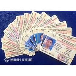 Không có giấy phép lái xe bị xử phạt như thế nào? Hồ sơ cấp lại giấy phép lái xe