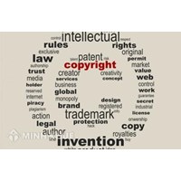 International registration of intellectual property rights
