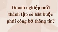 Doanh nghiệp mới thành lập có bắt buộc phải công bố thông tin?