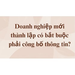 Doanh nghiệp mới thành lập có bắt buộc phải công bố thông tin?