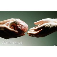 Điểm mới về "Quyền hiến bộ phận cơ thể" (Điều 35 Bộ luật Dân sự 2015)