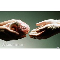 Điểm mới về "Quyền hiến bộ phận cơ thể" (Điều 35 Bộ luật Dân sự 2015)
