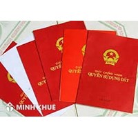 Một số biểu mẫu cơ bản dùng trong thu hồi đất mới nhất 2024