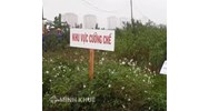 Mẫu Quyết định cưỡng chế thu hồi đất và Nguyên tắc bồi thường khi nhà nước thu hồi đất?