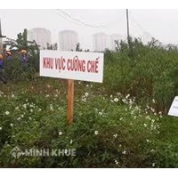 Mẫu Quyết định cưỡng chế thu hồi đất và Nguyên tắc bồi thường khi nhà nước thu hồi đất?