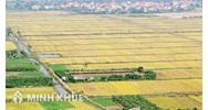 Thẩm quyền cho thuê đất, thủ tục thuê đất mới nhất