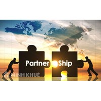 Consultancy service on the establishment of partnerships