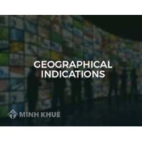 Protection of geographical indications in Vietnam