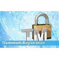 Legal consultancy on registration of trademark protection of goods