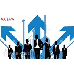 Thành lập công ty TNHH một thành viên do tổ chức làm chủ sở hữu?