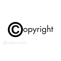 Legal consultancy and legal service for copyright protection