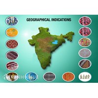Legal consultancy on registration of geographical indications in Vietnam