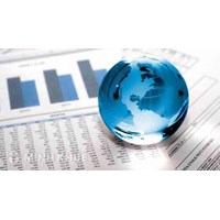 Legal consultants in the field of foreign investment