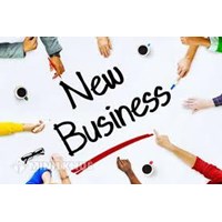 Legal service for establishment of companies
