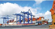 Điều kiện để hàng hóa được xuất, nhập khẩu theo quy định?