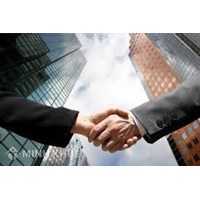 Legal consultancy on the amalgamation of companies