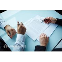 Consultancy on the business management and drafting contracts