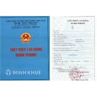 Người nước ngoài làm việc tại công ty con tại Việt Nam có phải nộp cấp giấy phép lao động ?